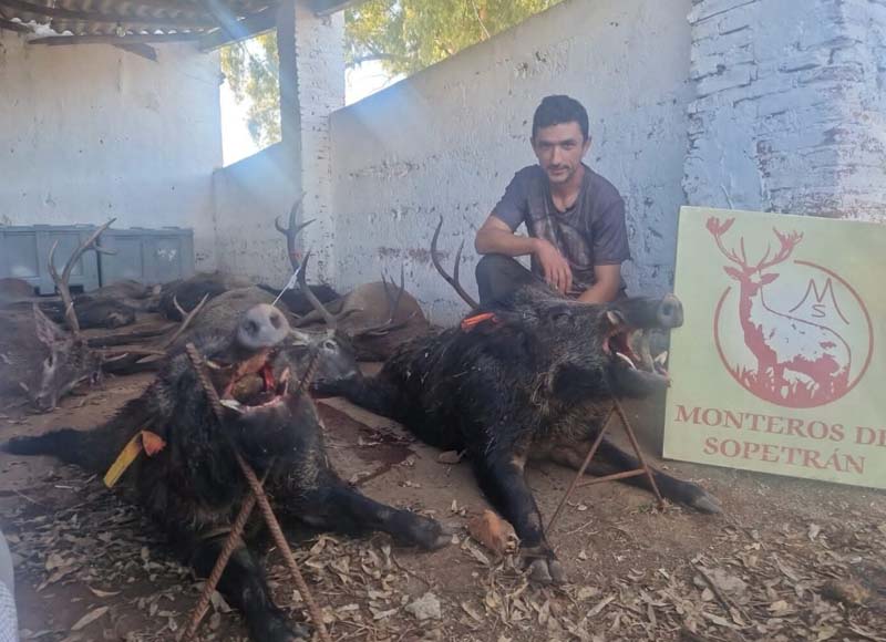 Resultado Montería El Machal 2025 Monteros de Sopetrán